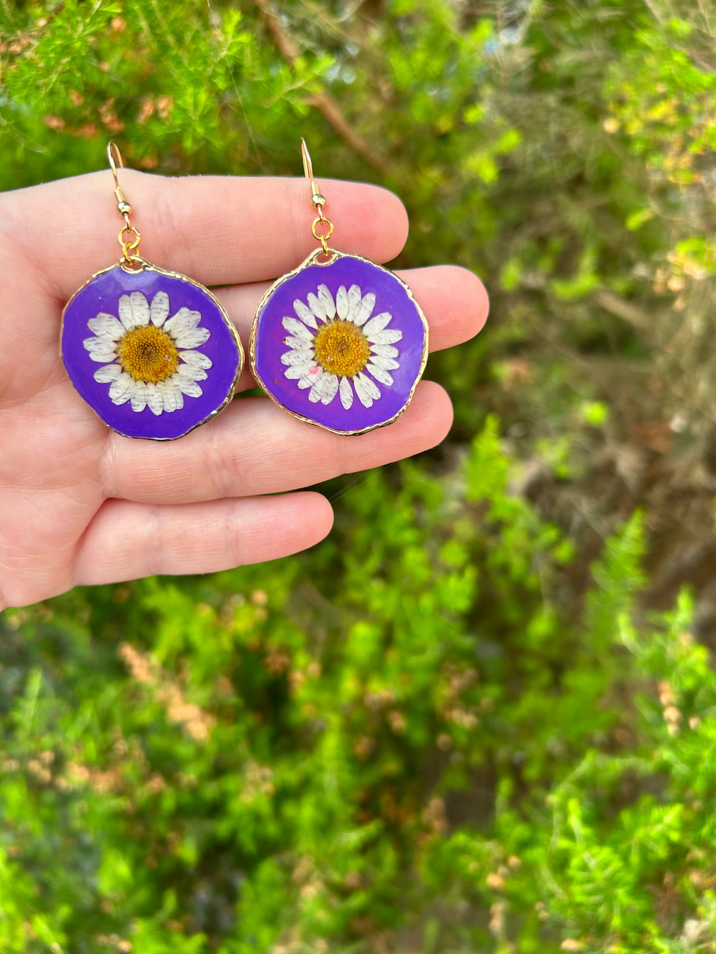 Painted Daisies